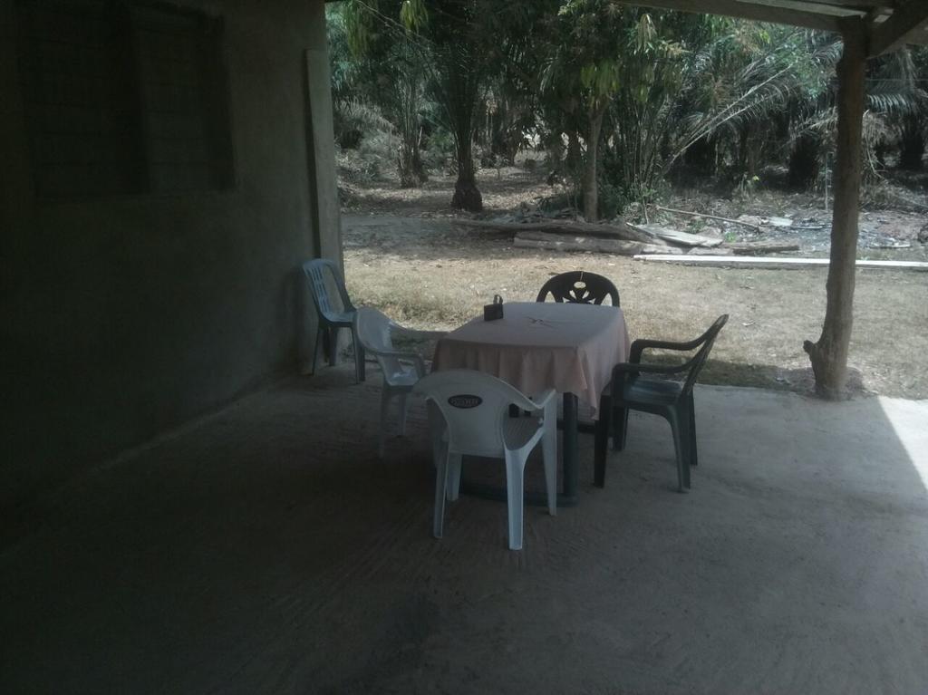 Wli Waterfalls Inn Wli Afegame Extérieur photo