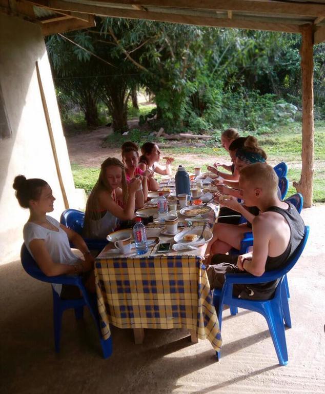 Wli Waterfalls Inn Wli Afegame Extérieur photo